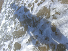 getting washed up on the beach in Australia
