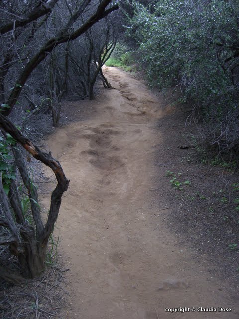 Hiking Hiking