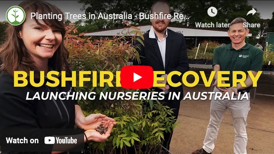 Bushfire Restoration Video Update  🌿🐨  Thank you for your support 🙏